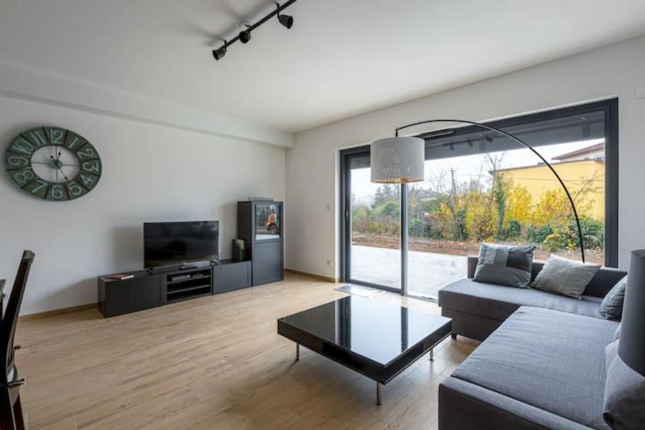 Magnifique 2 Pieces, Tout Equipe, Terrasse Privee Кольмар Екстер'єр фото