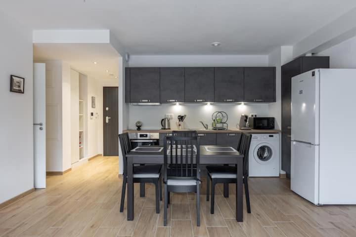 Magnifique 2 Pieces, Tout Equipe, Terrasse Privee Кольмар Екстер'єр фото